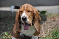 DSC_0014.JPG