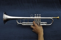 Holding-610.jpg